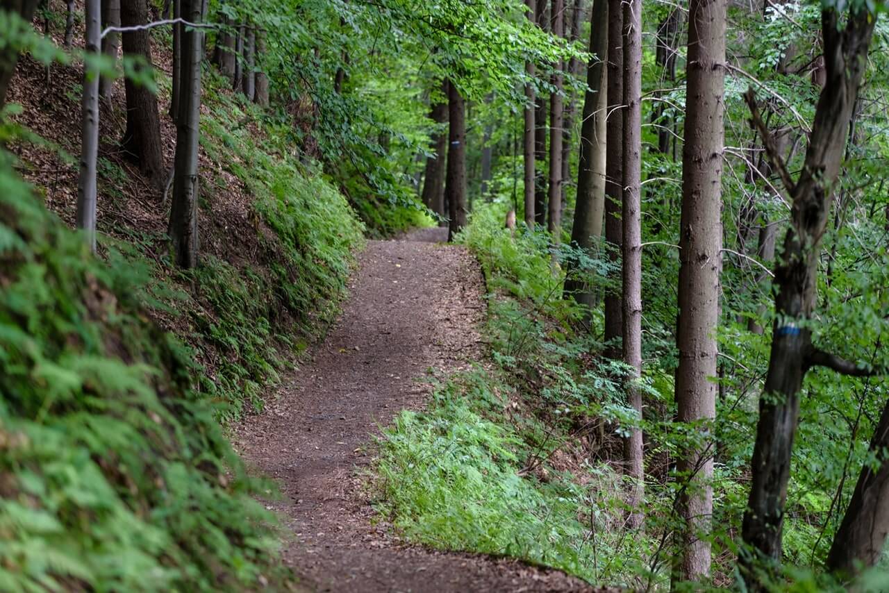 ATV Trail