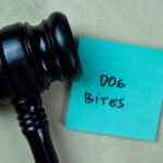 Lawsuit if Another Dog Attacks