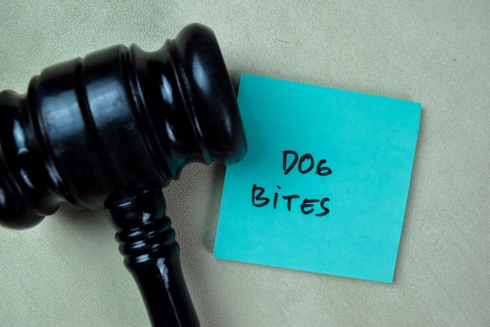 Lawsuit if Another Dog Attacks