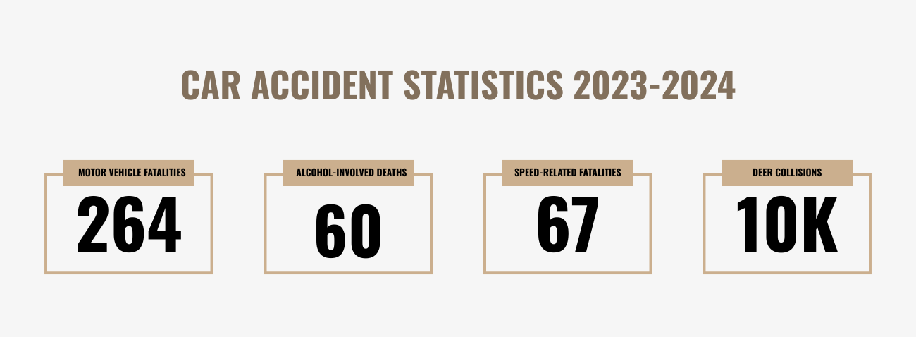 Car Accident Statistics 2023-2024